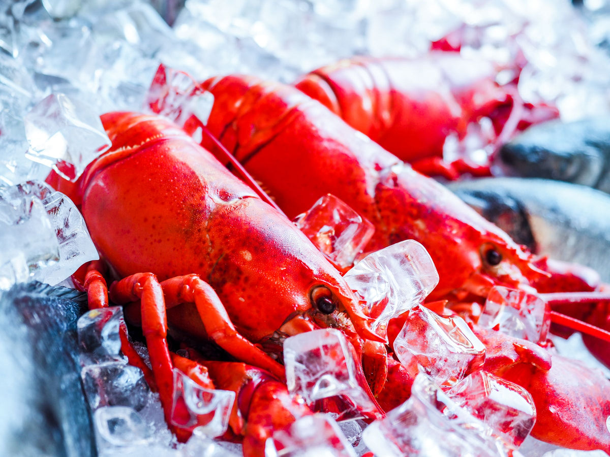 AFSHINALI GHANIMFARD frozen seafood